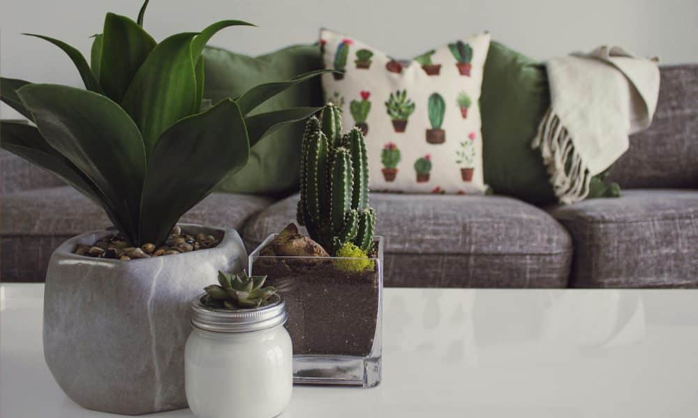 Healful Therapy - Psikolojik Feng Shui: Zihinsel Sadelik