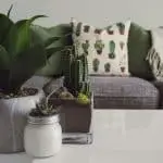 Healful Therapy - Psikolojik Feng Shui: Zihinsel Sadelik