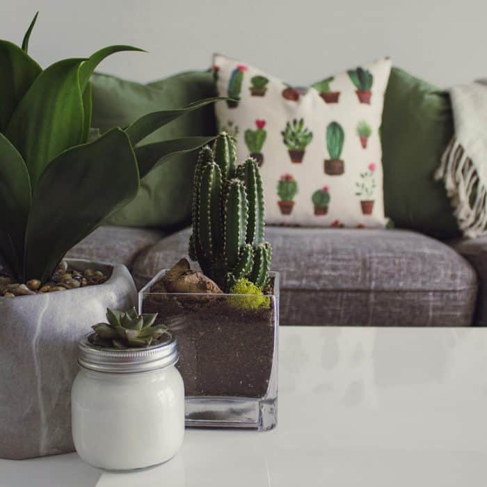 Healful Therapy - Psikolojik Feng Shui: Zihinsel Sadelik